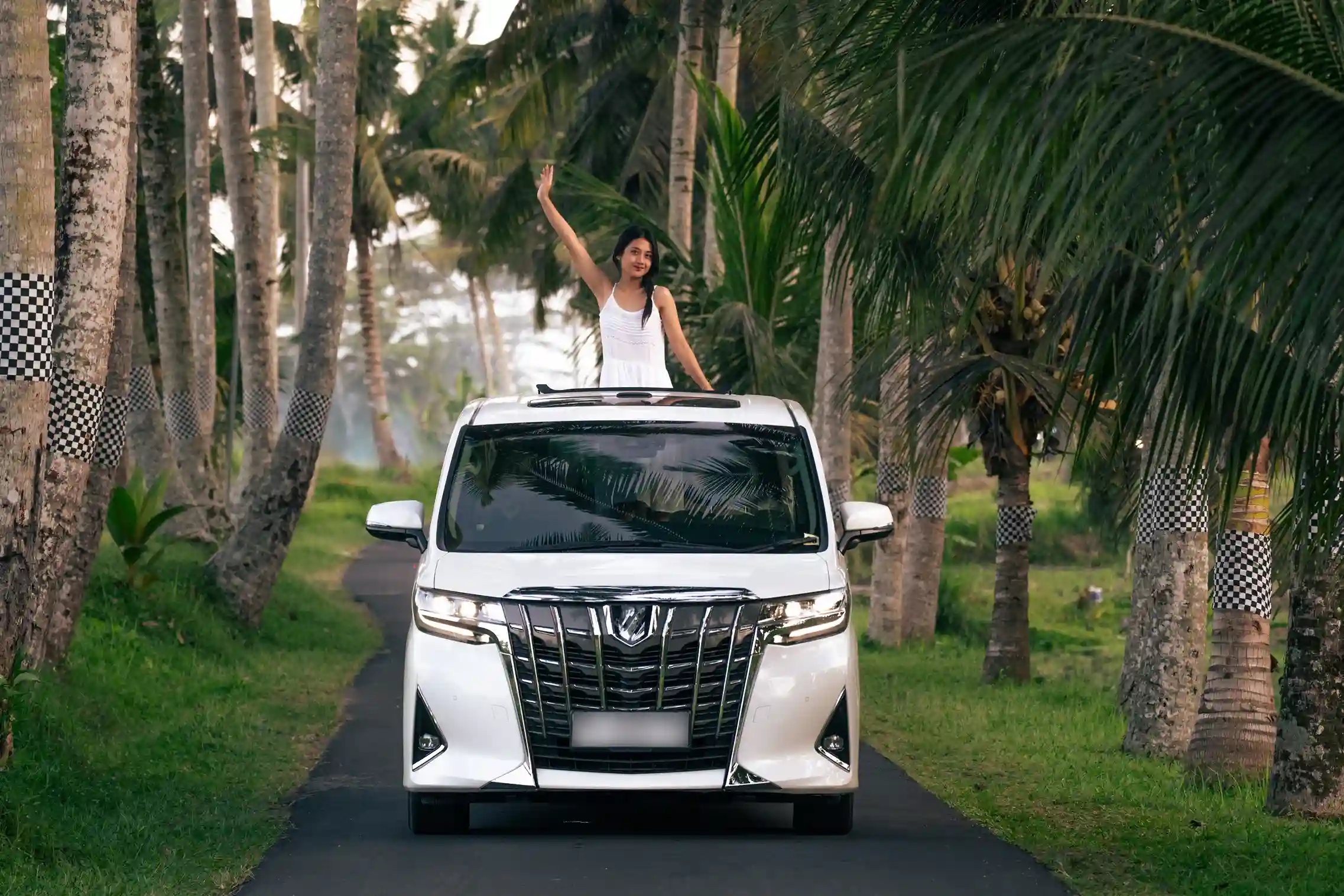 Car Rental